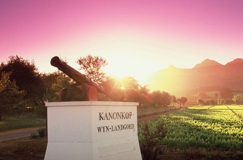 Kanonkop Estate on the Stellenbosch Wine Route, Cape Winelands