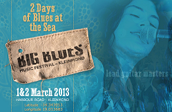 Big Blues Music Festival