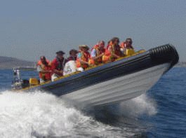 Jet Boat a high-speed Adventure Boat, Cape Town Boating