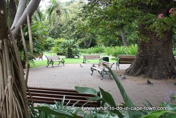 Benches in the Company Garden