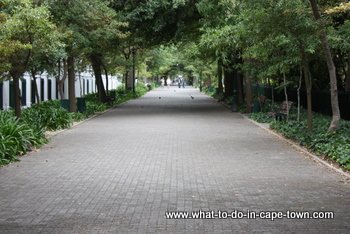 Government Avenue, Company Garden