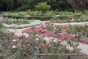 Rose Garden, Company Garden