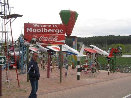 Fresh Strawberries - Where to pick them or buy them in Cape Town - Mooiberge Farmstall outside Stellenbosch.